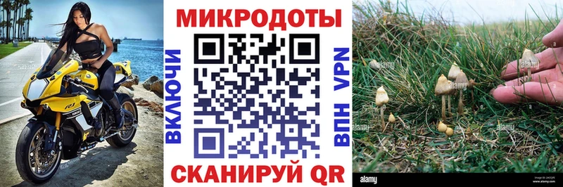 omg рабочий сайт  Бугуруслан  Галлюциногенные грибы MAGIC MUSHROOMS 